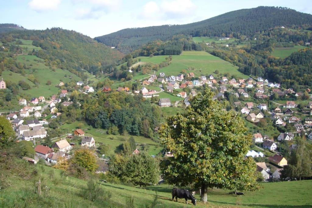 Yourte Des Verts Bois Fréland Exterior photo